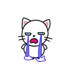 しろねこたまに手ぬぐい（個別スタンプ：16）