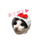 八兵衛スタンプ（個別スタンプ：1）