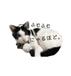 八兵衛スタンプ（個別スタンプ：4）
