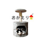 八兵衛スタンプ（個別スタンプ：6）