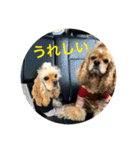 わんわん物語☺︎︎ No.3（個別スタンプ：4）