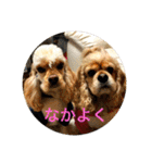 わんわん物語☺︎︎ No.3（個別スタンプ：15）
