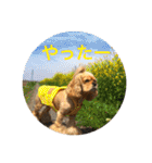 わんわん物語☺︎︎ No.3（個別スタンプ：22）
