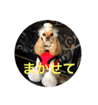 わんわん物語☺︎︎ No.3（個別スタンプ：29）