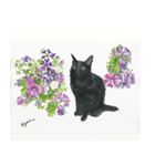 猫水彩画スタンプ（個別スタンプ：2）
