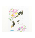 猫水彩画スタンプ（個別スタンプ：5）