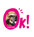 船乗りの犬3(イタグレ春＆朔)（個別スタンプ：15）