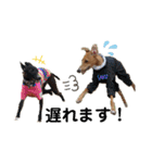 船乗りの犬3(イタグレ春＆朔)（個別スタンプ：19）