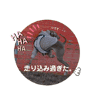 船乗りの犬3(イタグレ春＆朔)（個別スタンプ：28）