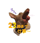 船乗りの犬3(イタグレ春＆朔)（個別スタンプ：30）