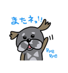 まゆげがあるプードル（日本語）（個別スタンプ：6）
