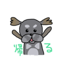 まゆげがあるプードル（日本語）（個別スタンプ：22）