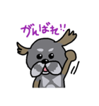 まゆげがあるプードル（日本語）（個別スタンプ：23）