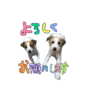 リサとマコ☆パール（個別スタンプ：3）