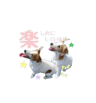 リサとマコ☆パール（個別スタンプ：8）