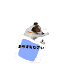 リサとマコ☆パール（個別スタンプ：12）