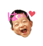 いぶりん チワワ（個別スタンプ：12）