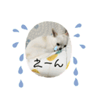 りんた0さいすたんぷ（個別スタンプ：32）