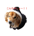 イケメンラックさん（個別スタンプ：2）