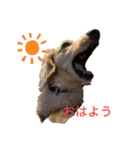 ダックスエルのファンタジー⭐（個別スタンプ：3）