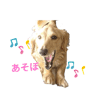 ダックスエルのファンタジー⭐（個別スタンプ：6）