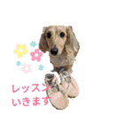 ダックスエルのファンタジー⭐（個別スタンプ：7）