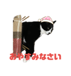 ちゃんみーとしろたんくろたんパート2（個別スタンプ：4）