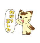 にらみねこしぃちゃん3【毎日使える編】（個別スタンプ：7）