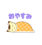 にらみねこしぃちゃん3【毎日使える編】（個別スタンプ：22）