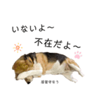 ビーグル犬 キキの日常（個別スタンプ：22）
