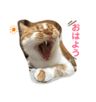 クレープのスタンプ（個別スタンプ：1）