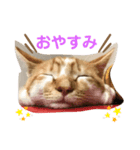 クレープのスタンプ（個別スタンプ：2）