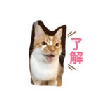 クレープのスタンプ（個別スタンプ：5）