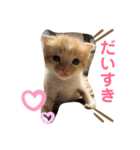 クレープのスタンプ（個別スタンプ：6）