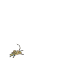 言いたげな猫（個別スタンプ：24）