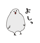 エンジニア文鳥（個別スタンプ：1）