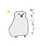 エンジニア文鳥（個別スタンプ：7）