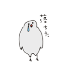 エンジニア文鳥（個別スタンプ：16）