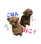 ココア＆あずき（個別スタンプ：14）