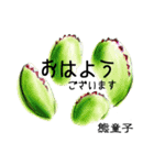 あれもこれも多肉植物（個別スタンプ：2）