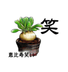 あれもこれも多肉植物（個別スタンプ：10）