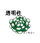 あれもこれも多肉植物（個別スタンプ：20）