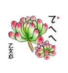 あれもこれも多肉植物（個別スタンプ：22）