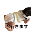 しろなの世界（個別スタンプ：23）