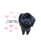 らいちゃん好き（個別スタンプ：1）