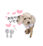 らいちゃん好き（個別スタンプ：4）