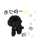 らいちゃん好き（個別スタンプ：7）