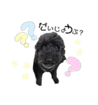 らいちゃん好き（個別スタンプ：9）