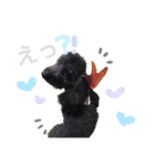 らいちゃん好き（個別スタンプ：10）