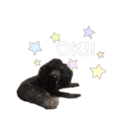 らいちゃん好き（個別スタンプ：12）